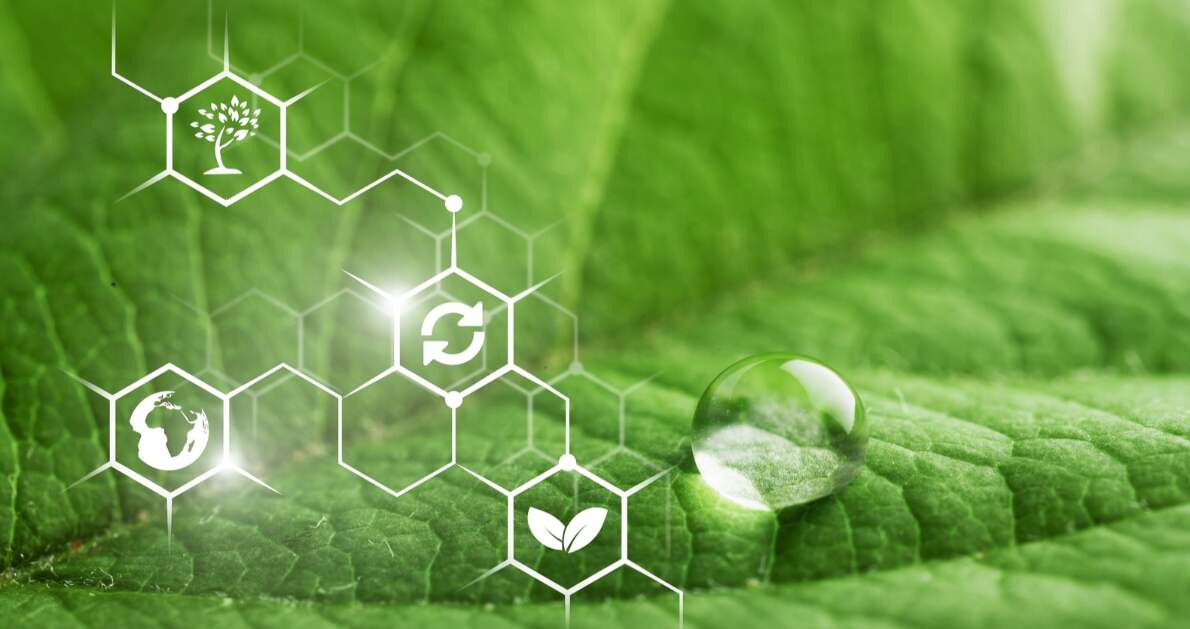 Environmental Impact and Sustainability in Pharmaceutical Distribution